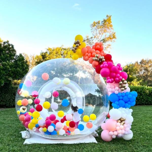 Inflatable PVC Balloon: Giant Bubble Balloon Display
