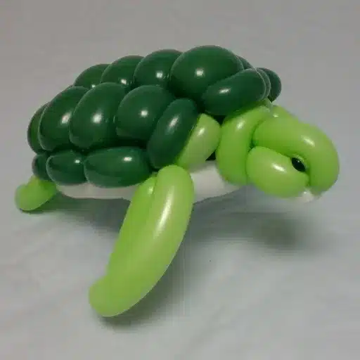 Balloon Twisting: Introduction