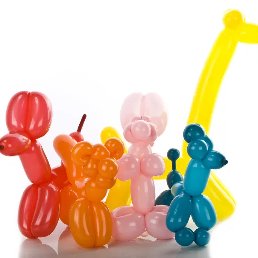 Materials Needed in Balloon Animal Creation