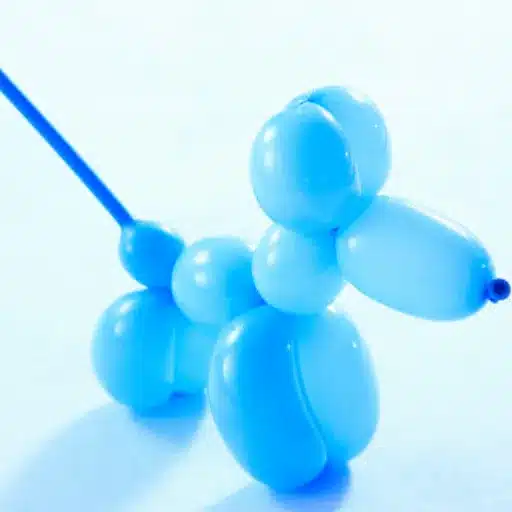 Introduction to Balloon Twisting