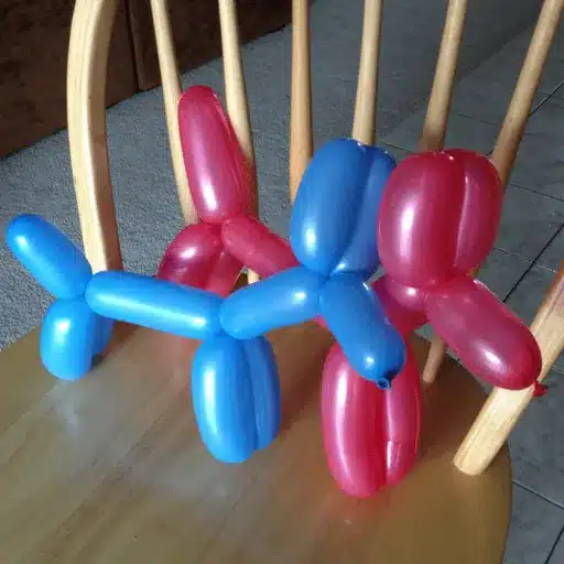 Materials Needed to Make a Dog Balloon Animal