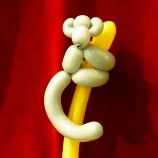 Common Techniques in Balloon Twisting