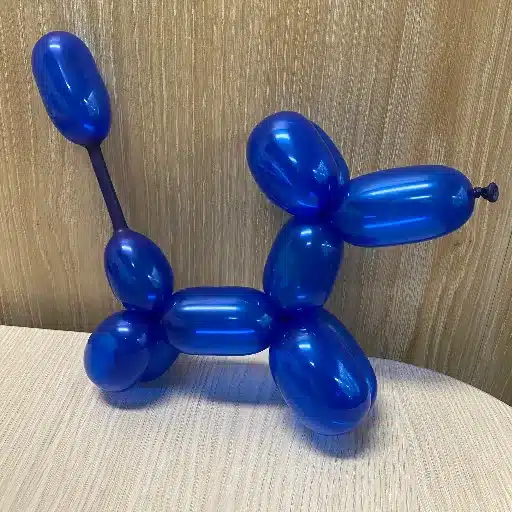Easy Balloon Animal: Step-by-Step Art Lessons for Kids