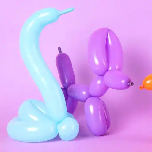 Introduction to Balloon Twisting