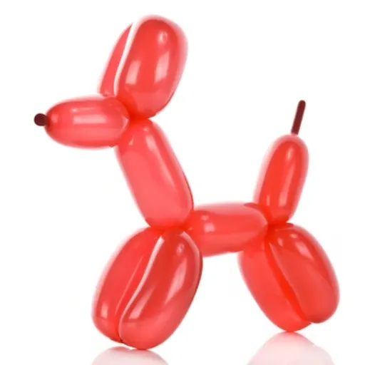 Step-by-Step Guide to Make a Balloon Dog
