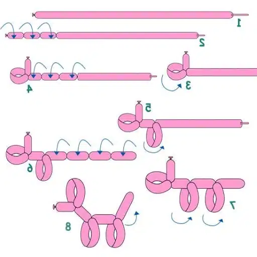Step-by-Step Guide to Making a Balloon Dog