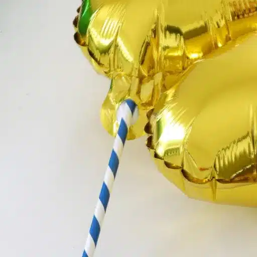 Maintenance Tips for Mylar Balloons