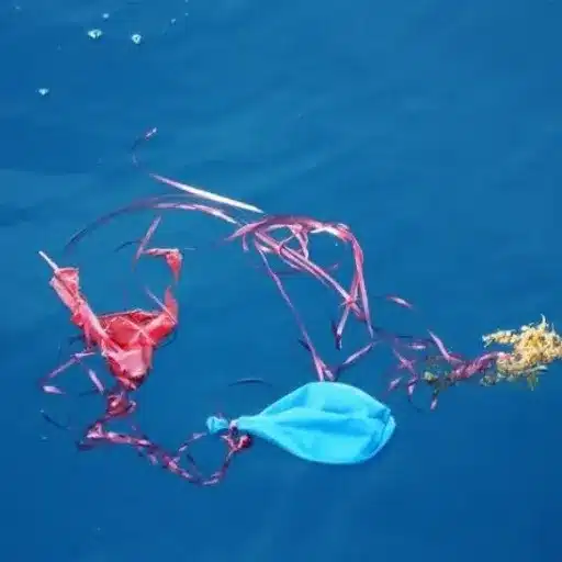 Disposing of Mylar Balloons Responsibly