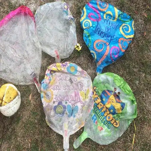 Eco-Friendly Alternatives to Foil Balloons