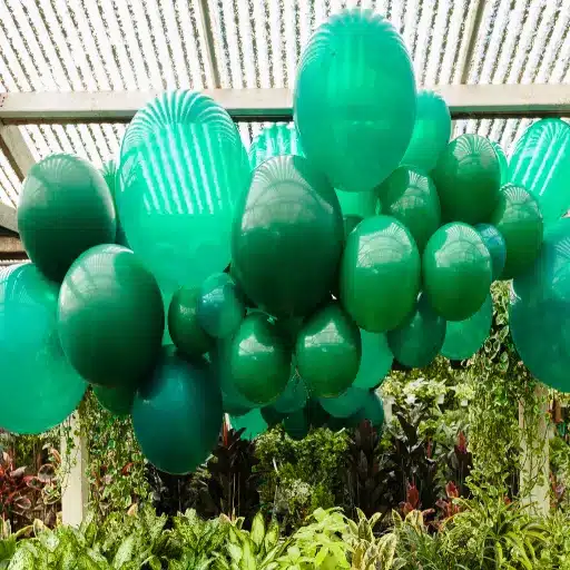 Eco-Friendly Party Supplies: Beyond Balloons