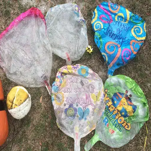 Are There Truly Eco-Friendly Alternatives to Balloons?