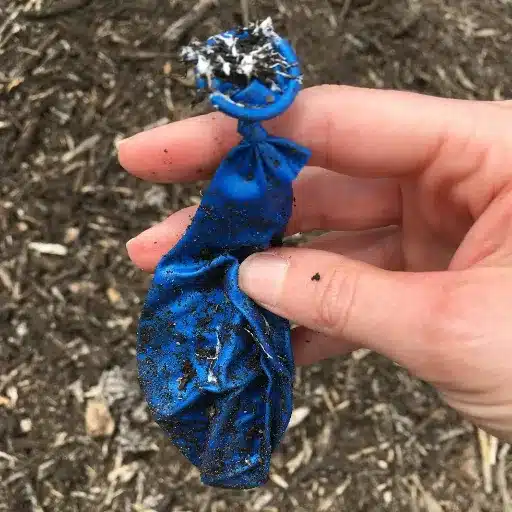 are latex balloons biodegradable
