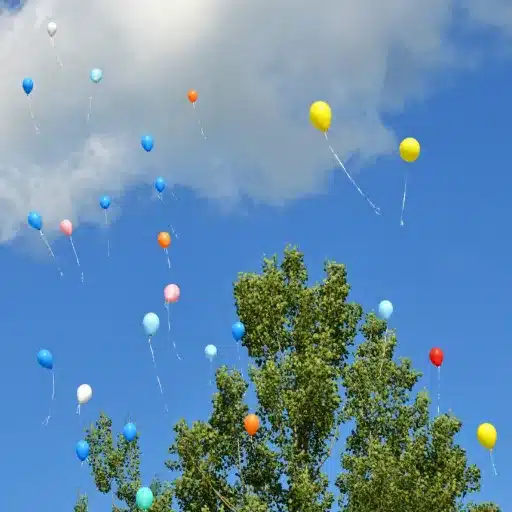 Proposed and Pending Balloon Release Laws to Watch