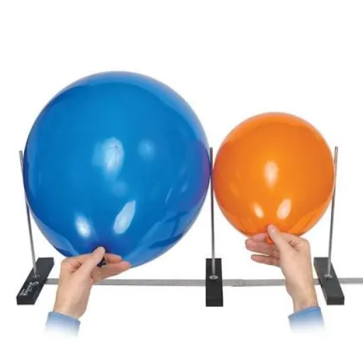 What Is a Balloon Sizer and Why Do You Need One?